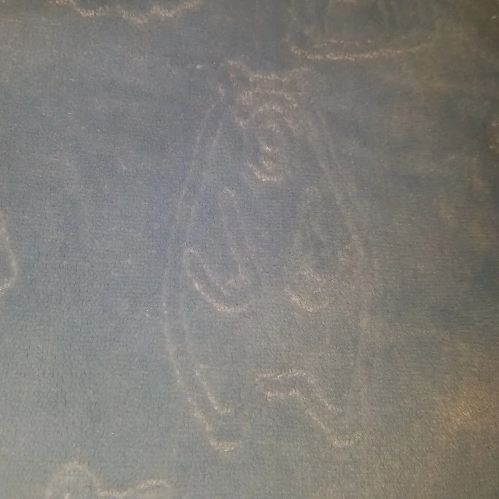 Baby Thro Blue Embossed Blanket Forest Animals Bear Deer Raccoon Rabbit